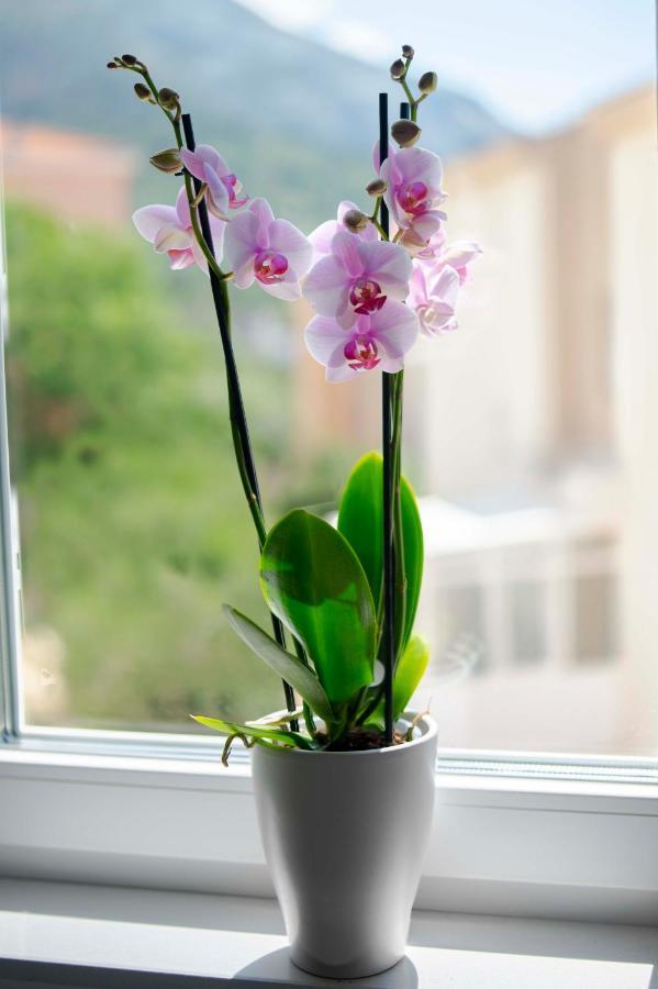 Ella's Apartma